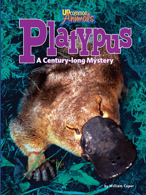 Title details for Platypus by William Caper - Available